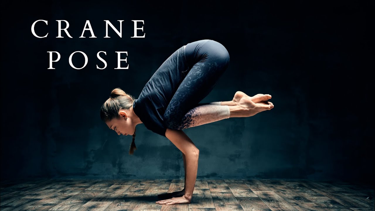 LEARN HOW TO DO CRANE POSE | YOGA FILES | SALLY SWEET LIFE | Yoga Teacher | Teacher Mentor