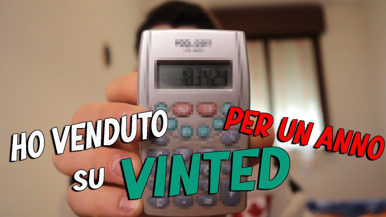 Ho VENDUTO su VINTED per UN ANNO! Quanti SOLDI HO FATTO? Ci si può VIVERE?