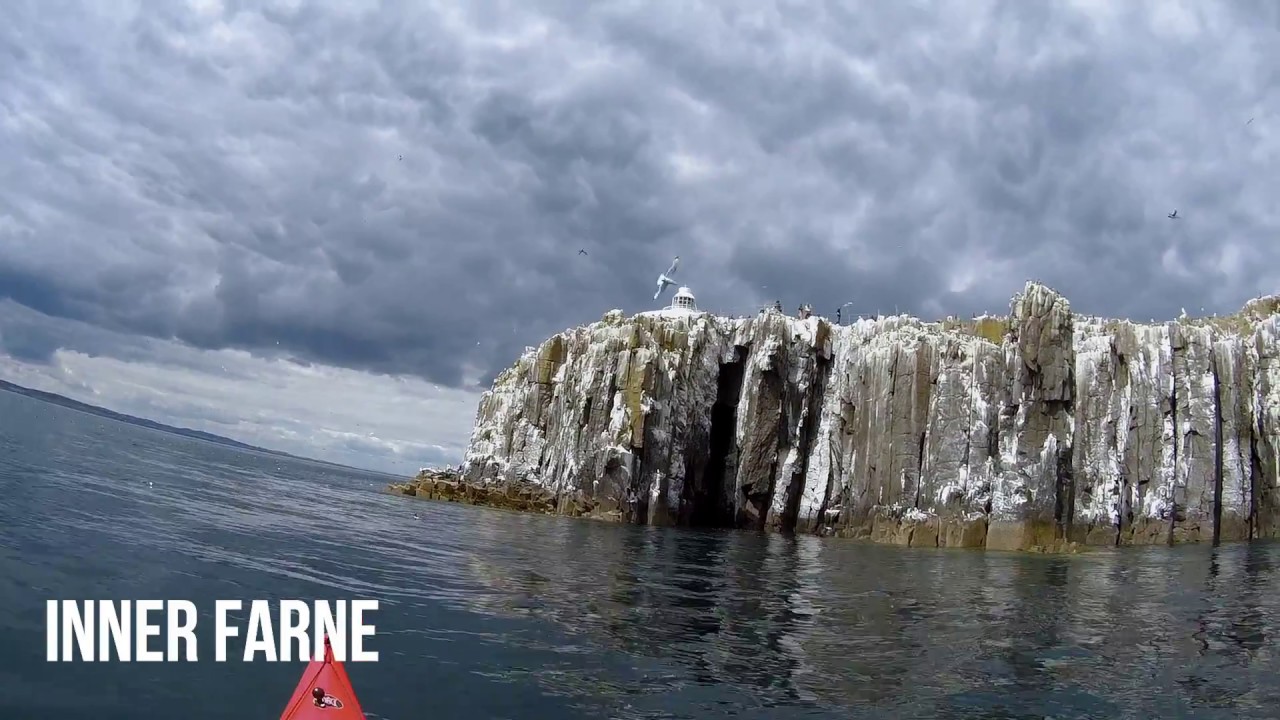 Farne Islands Sea Kayaking