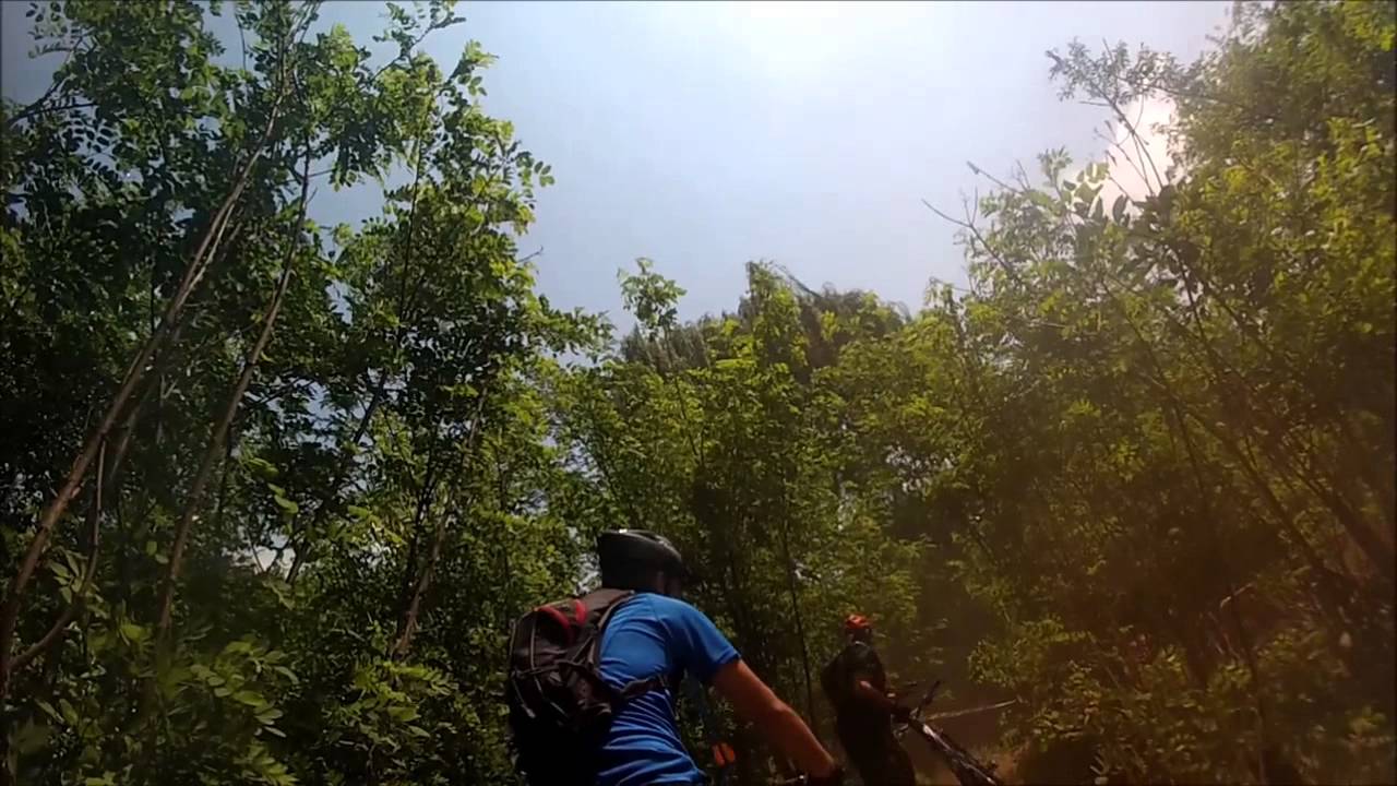 JUMA 2014 - Bail - Taking on a tree