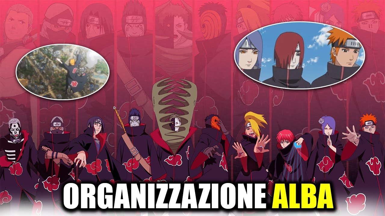 TUTTI I DETTAGLI SU ORGANIZZAZIONE ALBA E LA SUA NASCITA