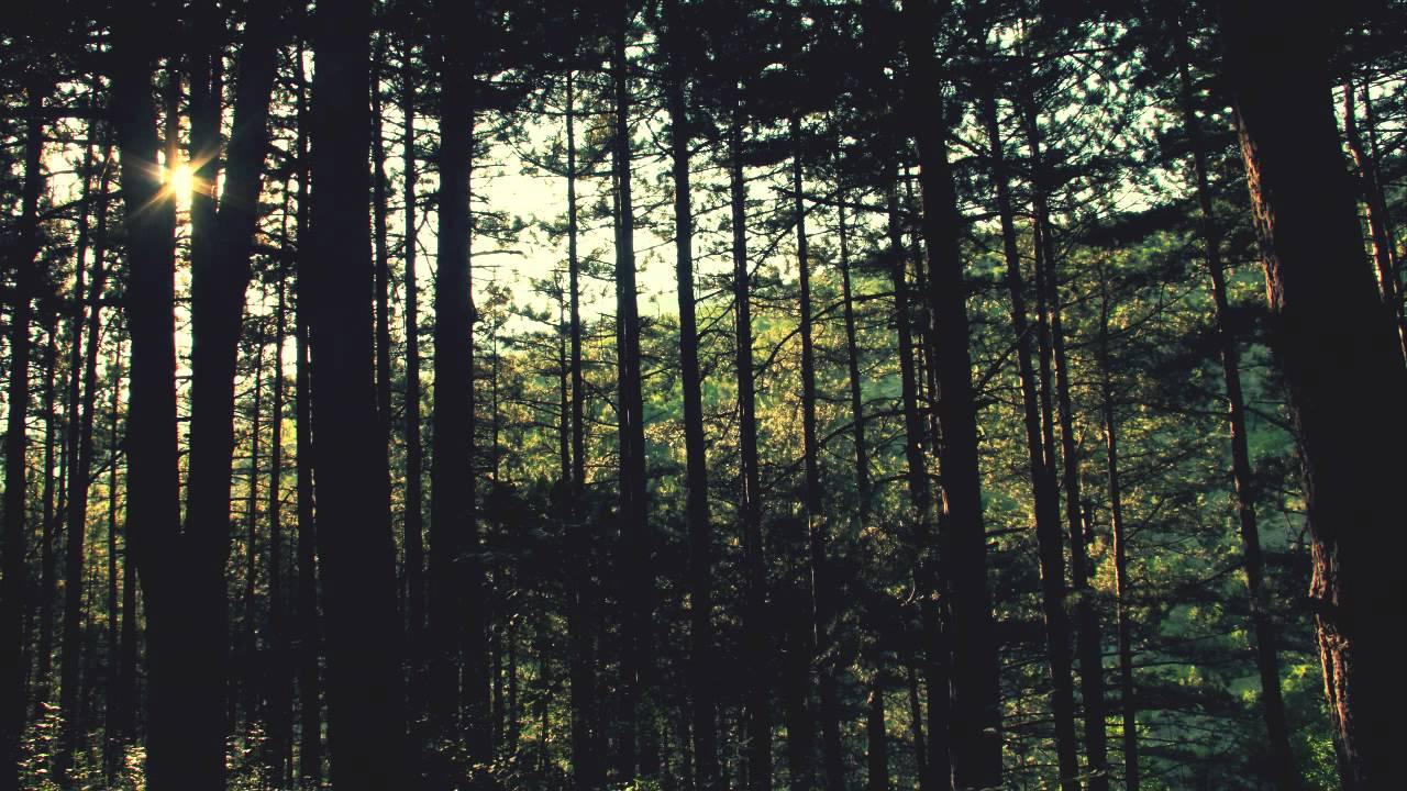 Kryptic Minds feat. Alys Blaze - Time Flies