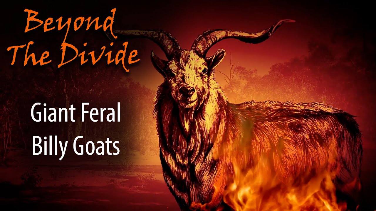 Giant Feral Goats | Beyond The Divide - S6 Ep 4