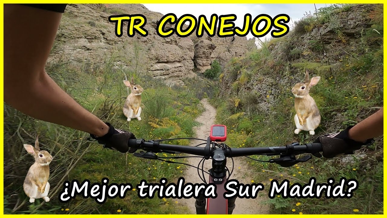 La mejor trialera del Sur🔎​ | TR CONEJOS | LIVING ENDURO MTB