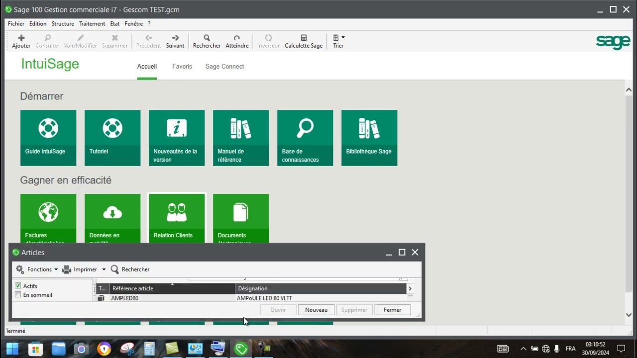 Sage 100 Gestion commerciale i7, paramétrage du stock d'alerte article