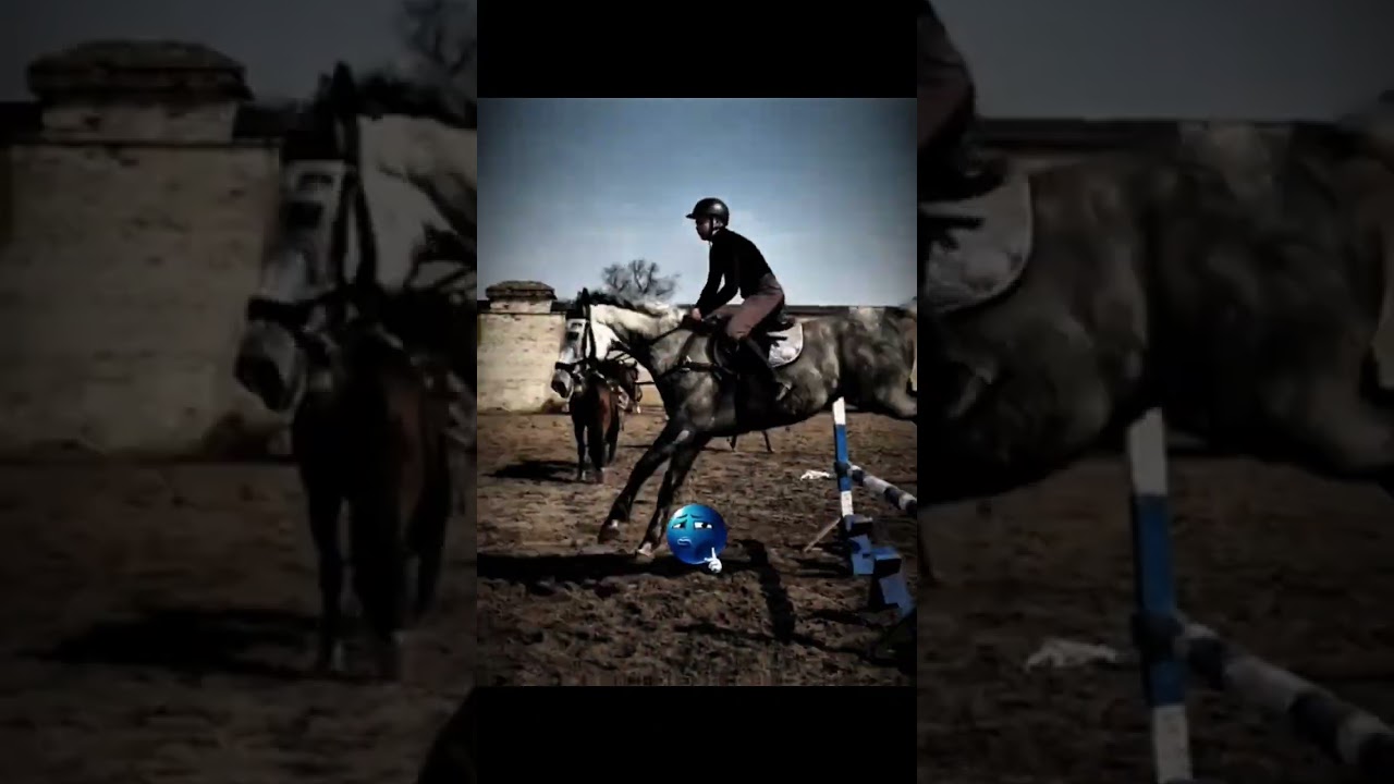 #horse #конноеранчо #конноеранчо #equestrian #лошадки #snearvema  #лошади #выездка #кск_анна #хшн