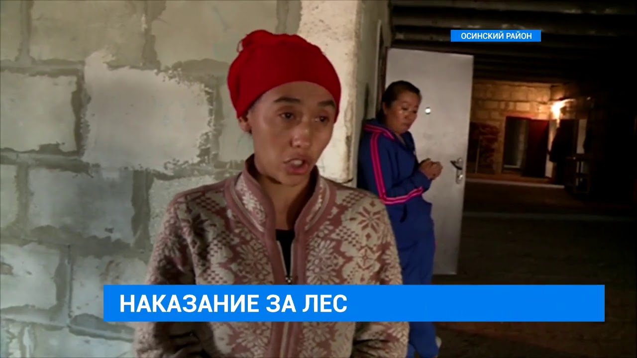 Незаконный лесозаготовительный пункт