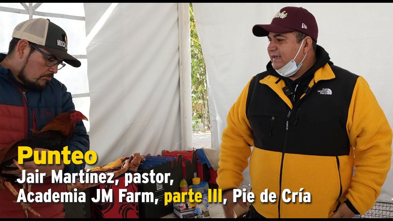 Punteo, Jair Martínez, pastor, Academia JM Farm, parte III, Pie de Cría oficial