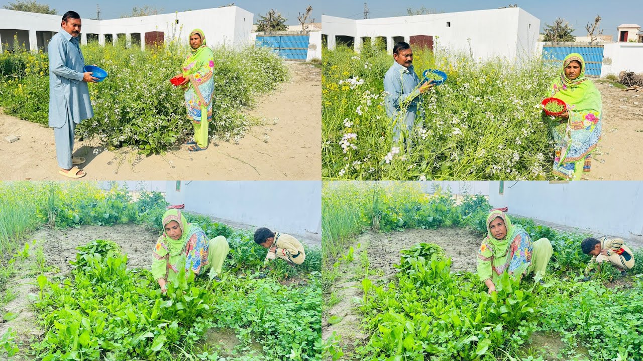 2nd Roze ki Aftari ke lye ghar se fresh sabzian Tori