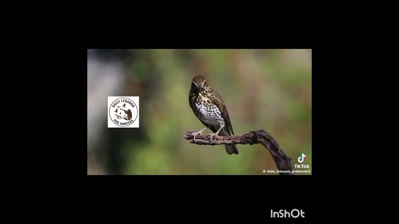 ١٣ ديسمبر ٢٠٢٥