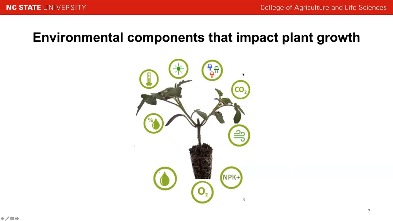 Indoor Ag Sci Cafe #32 - Precision Indoor Propagation for High Quality Transplants