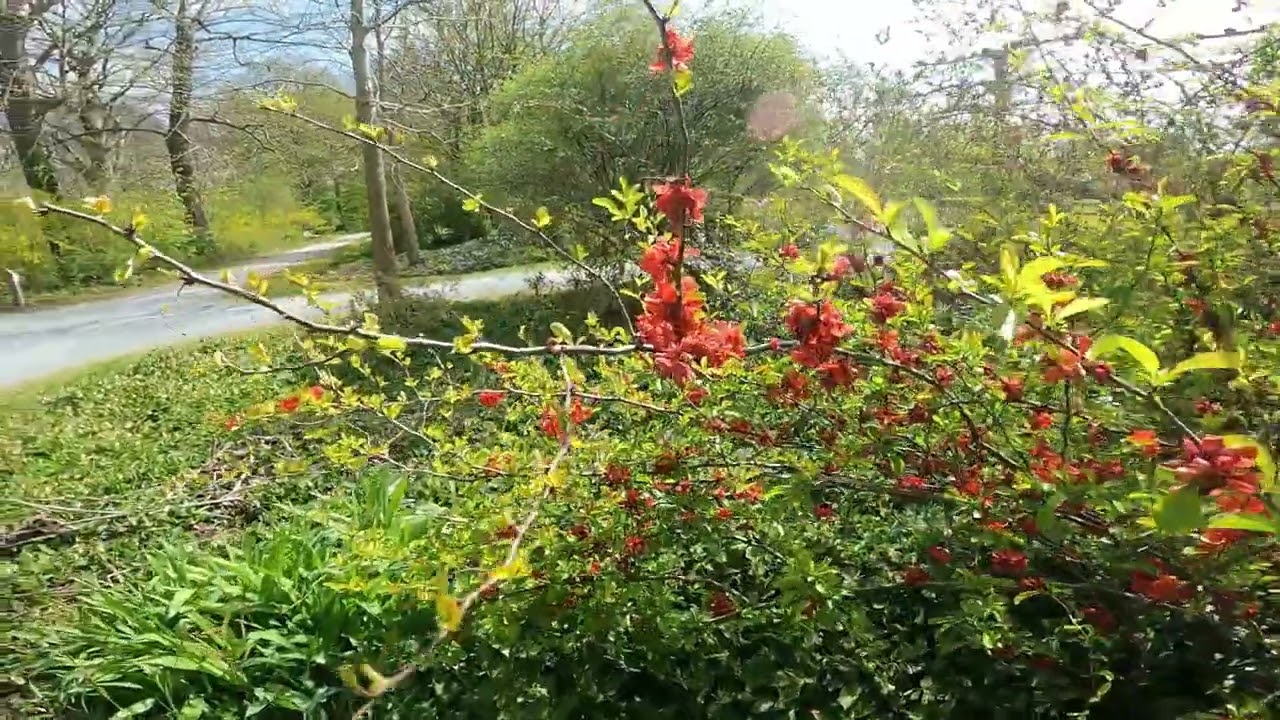 VRIJBROEKPARKLENTE 2025