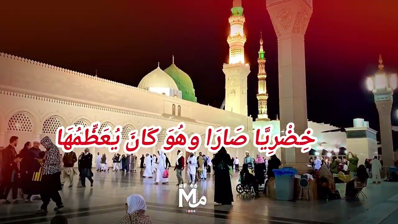 @ _mr_mRf ⁴6 🫀❦︎ꨄ︎ఌ︎❥︎♥︎♡︎| (• ◡•)|▼・ᴥ・نَحْنُ اْليَوْمَ فَرِحُوْنَا💞🫂🫵🫀#allah #love 