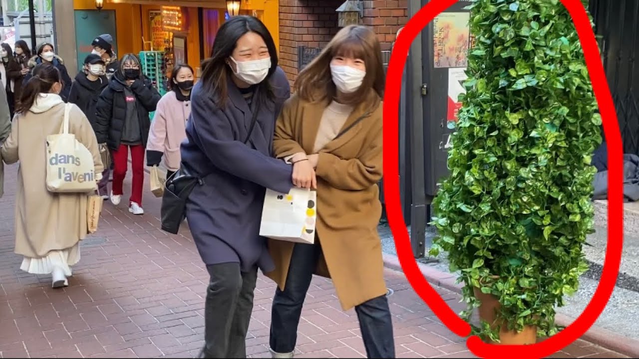 Bushman Prank-Japanese Best Reaction/葉っぱが急に動き出すドッキリ