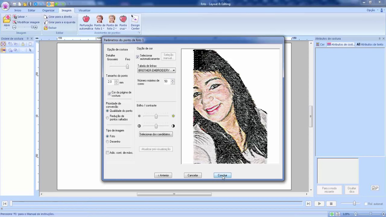 Pe Design-CURSO BÁSICO- Conversão de Fotos Para Bordado - Aula 31