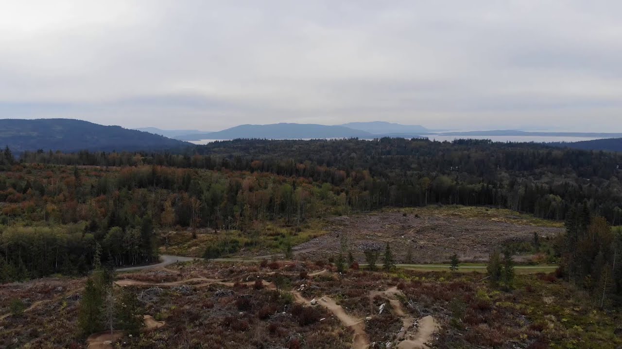 Cedar Dust Jumps Galbraith