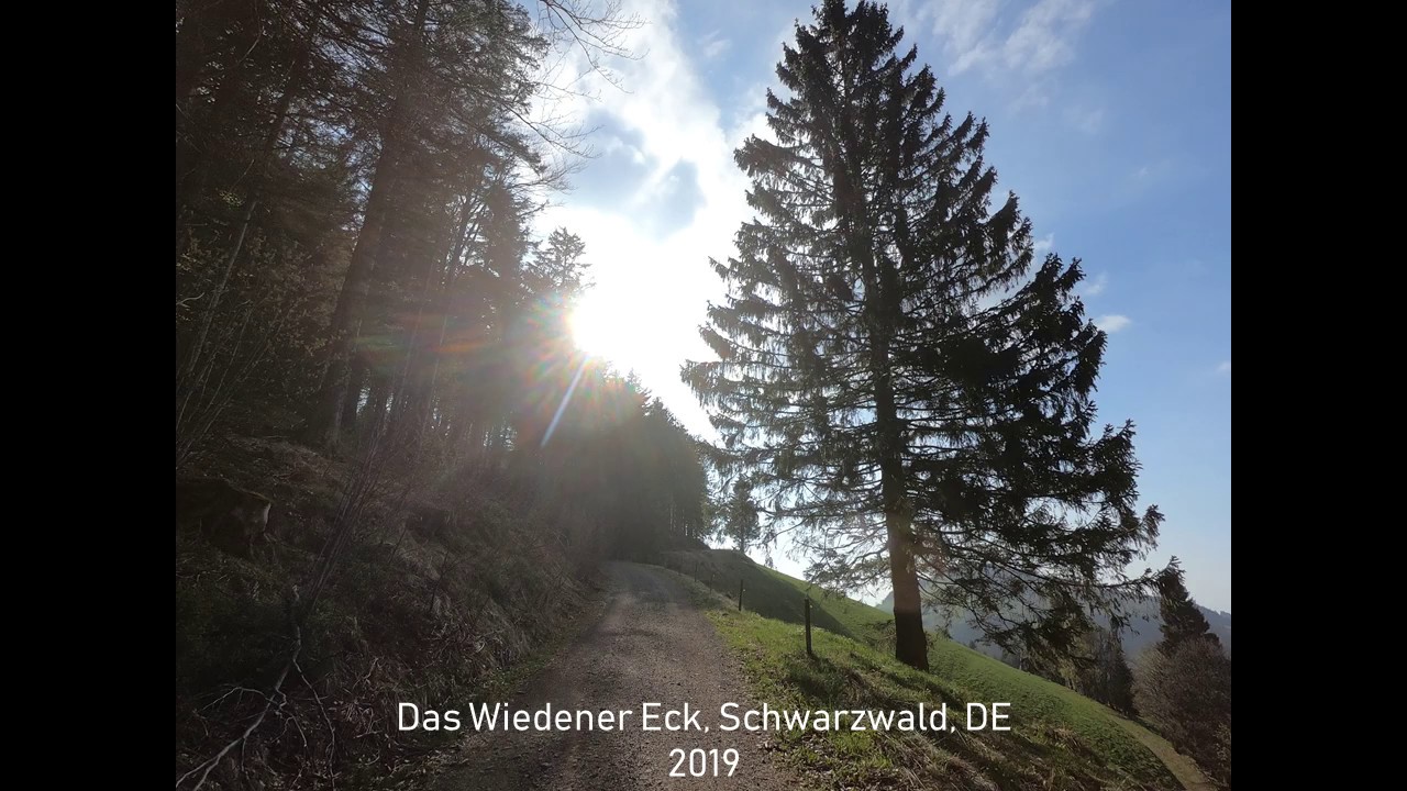 Wiedener Eck - Muenstertal, DE 2019