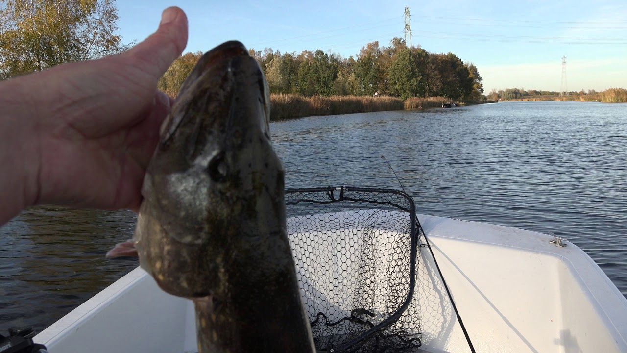 bergumermeer Kuikhornstervaart 6-11-2018 snoek en baars vissen
