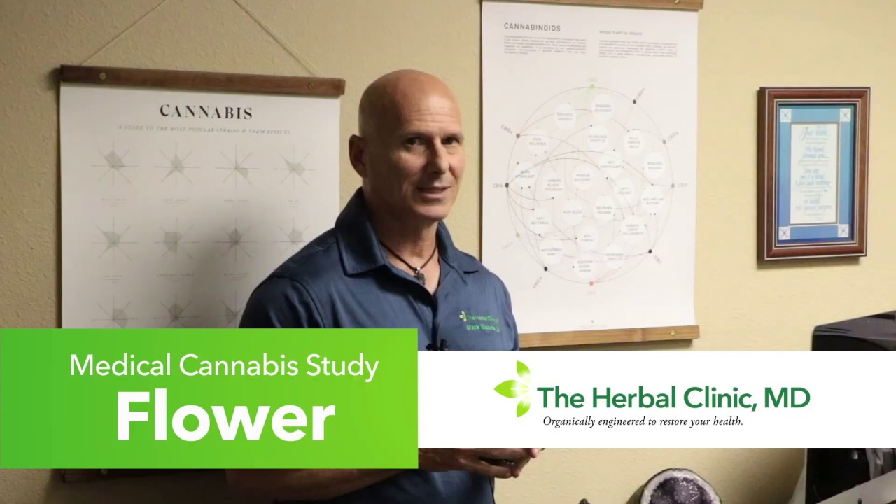 Using medical cannabis flower in your tea to medicate in Florida