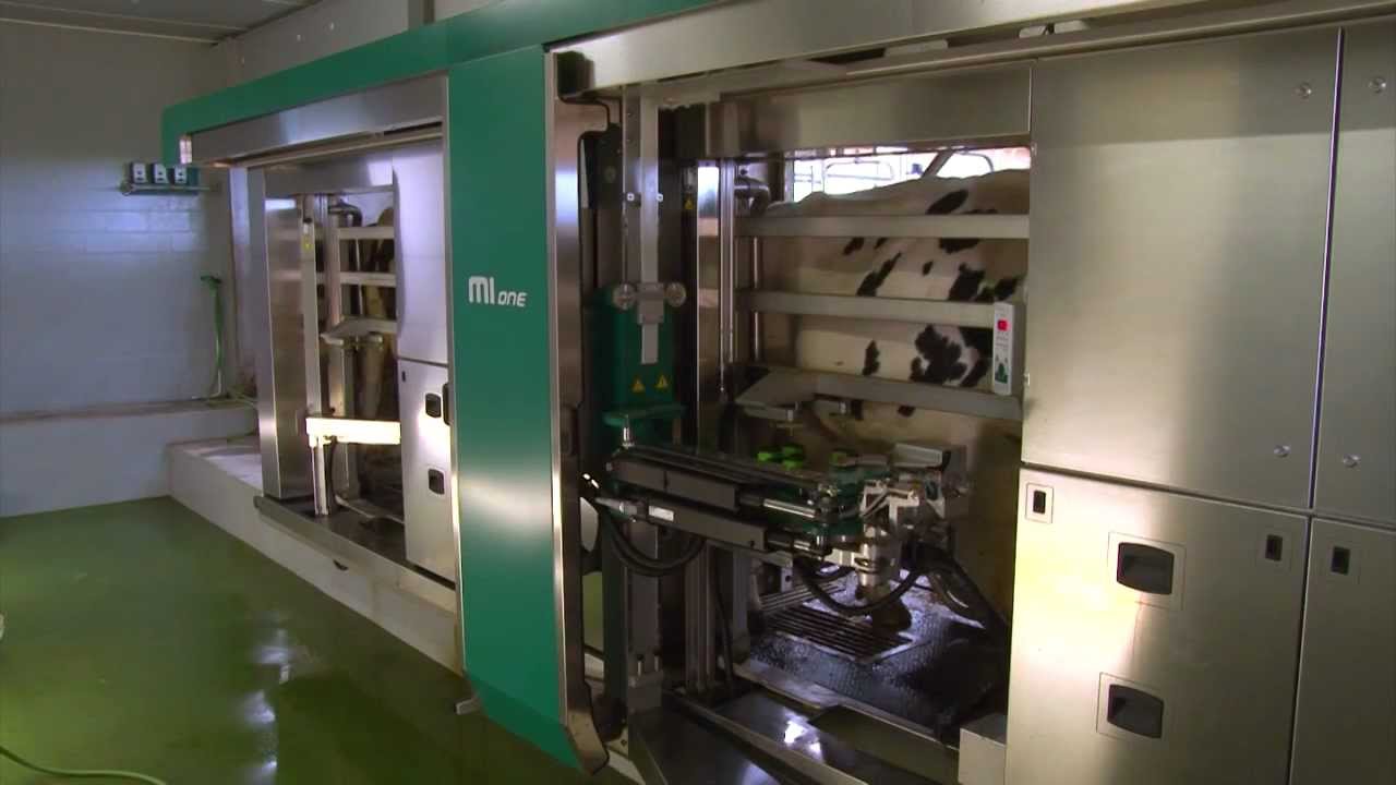 Beusekom Melktechniek - GEA MIone Schep