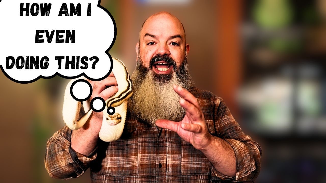 How Does a Snake Think?