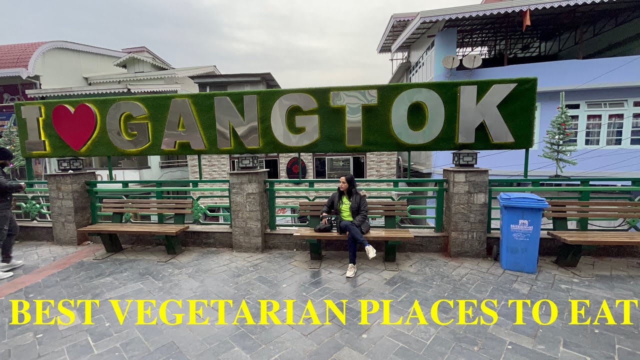 Best Vegetarian Spots in MG Marg Gangtok, Sikkim | Virtual Tour of MG Marg Gangtok | NeerGun Vlogs