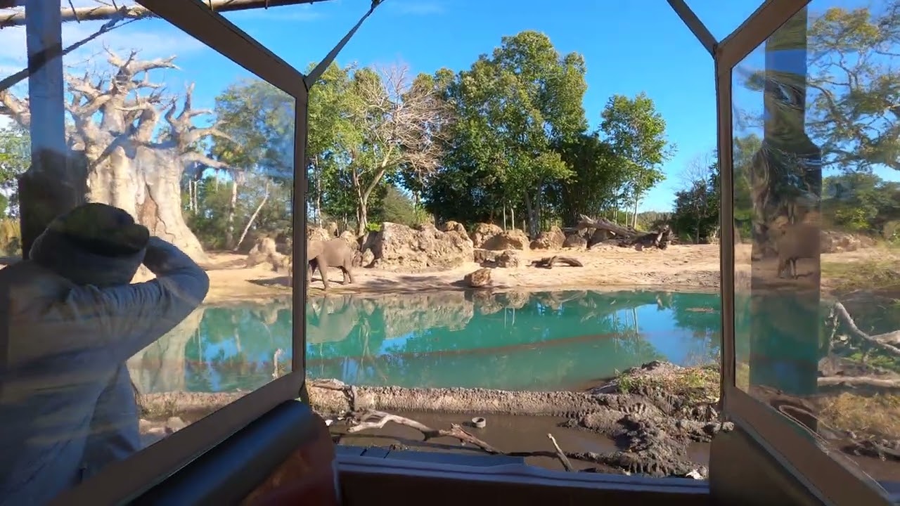 Kilimanjaro Safari