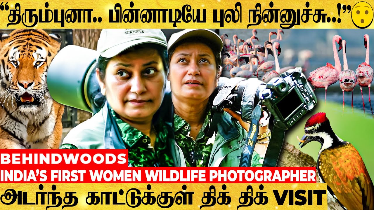 பாயும் புலியோ.. பறக்கும் பறவையோ.. நேருக்கு நேர் சந்திக்கும் முதல் பெண் WILD LIFE PHOTOGRAPHER பேட்டி