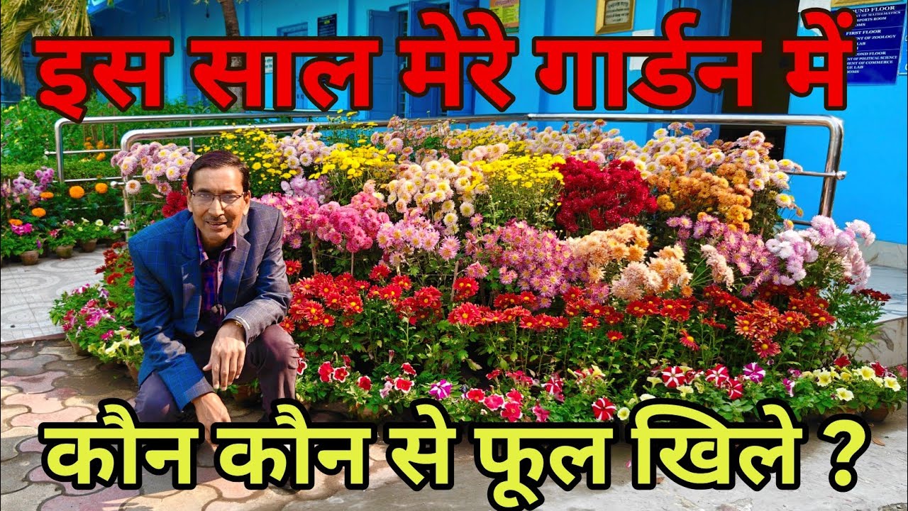 इस साल मेरे गार्डन में फूल कैसे खिले हैं एकबार नजारा तो देखें। My Garden in 2026