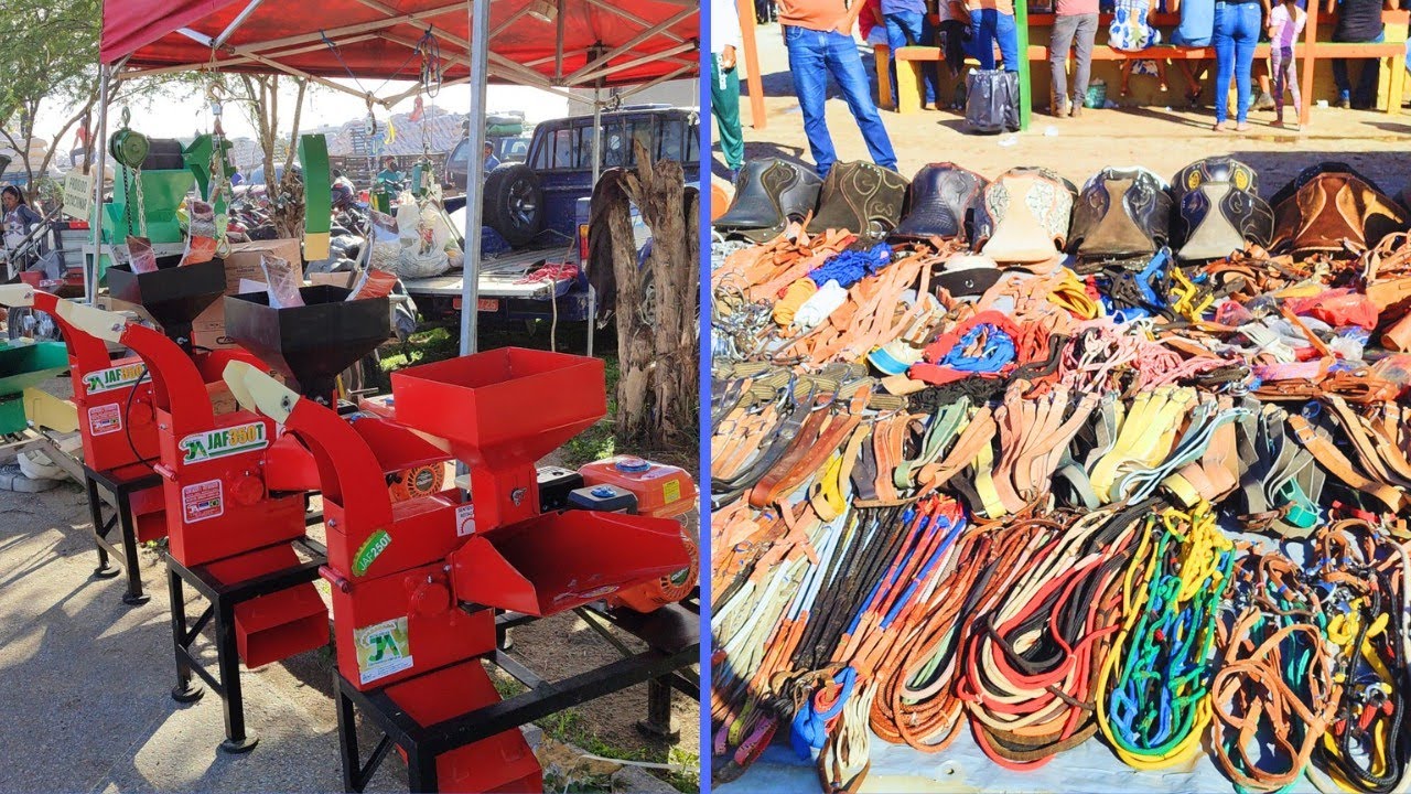 Forrageira, Porteira e + Cachoeirinha-PE 05/03/2026