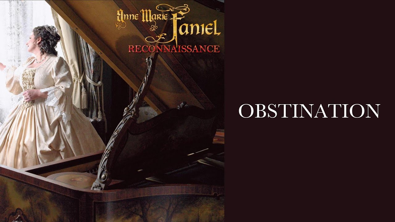 OBSTINATION - Anne-Marie Faniel