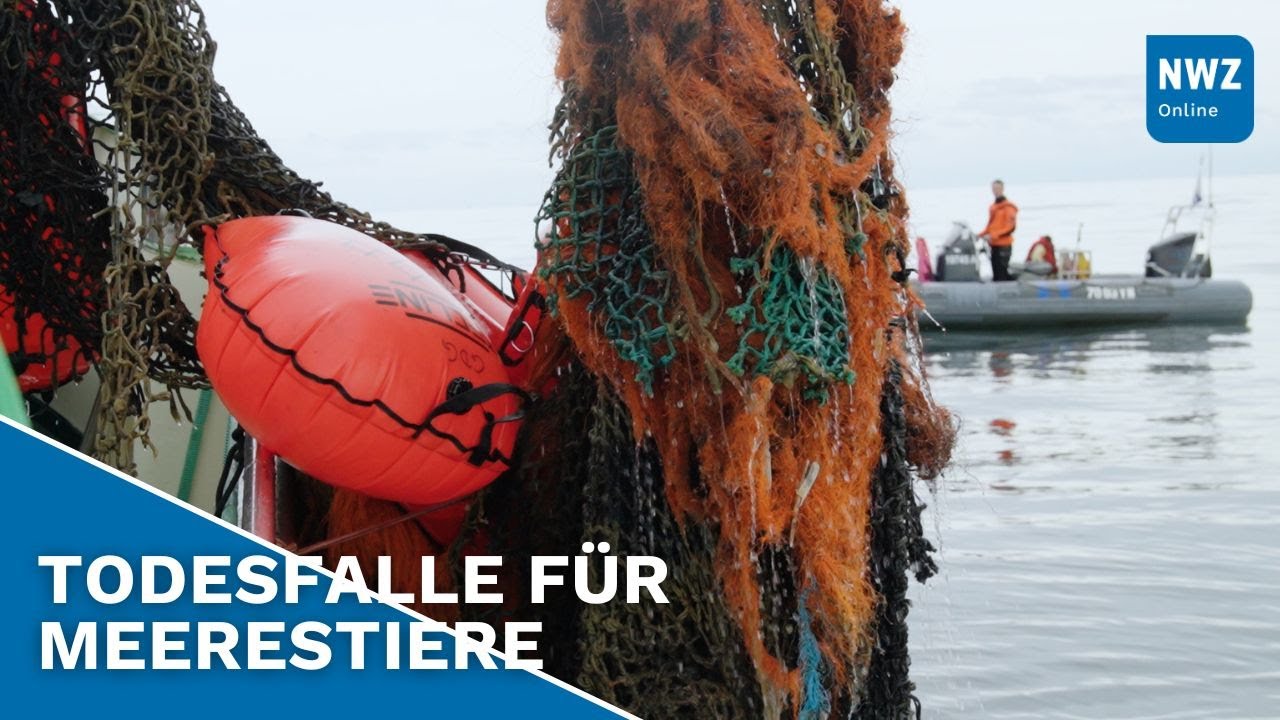 Taucher bergen riesiges Geisternetz aus der Nordsee