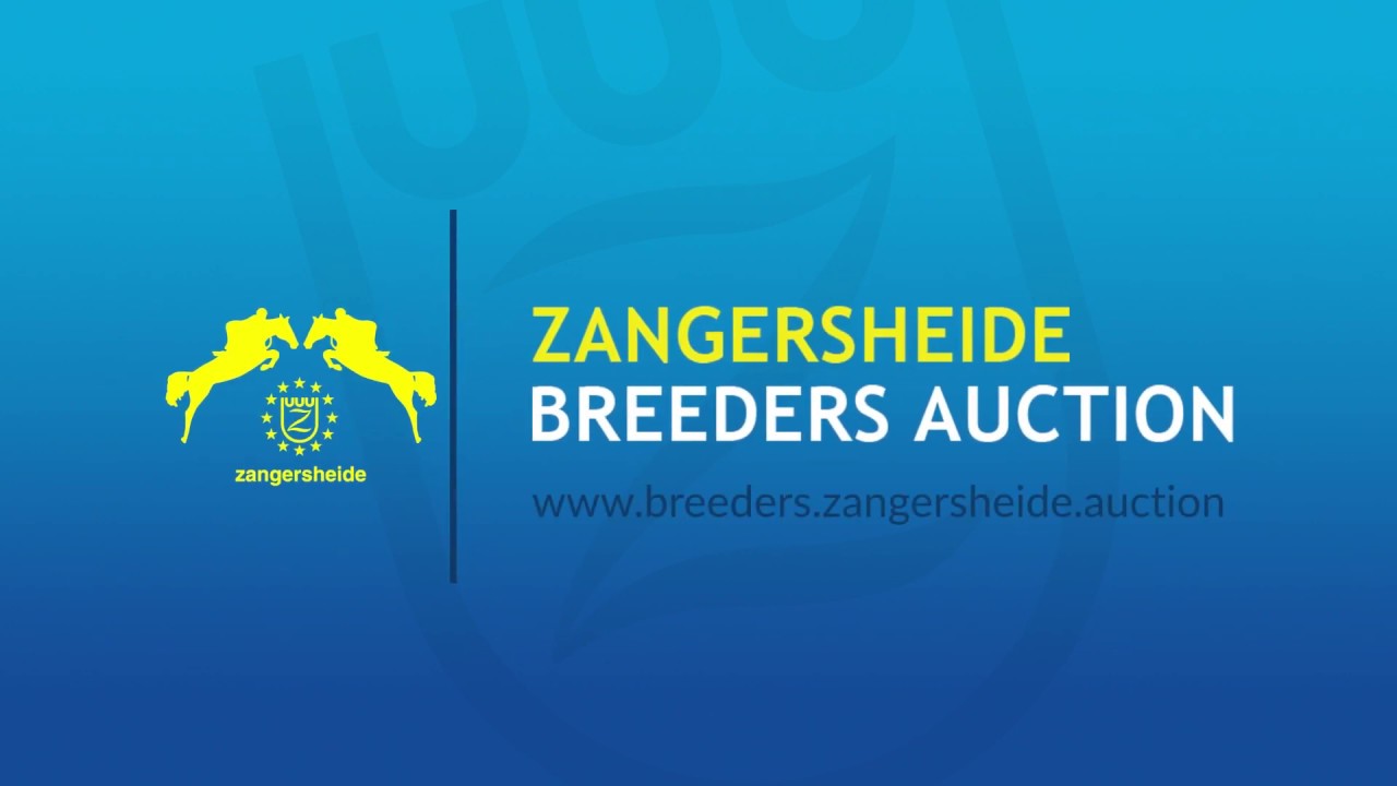 Call Me Devil Z - Zangersheide Breeders Auction