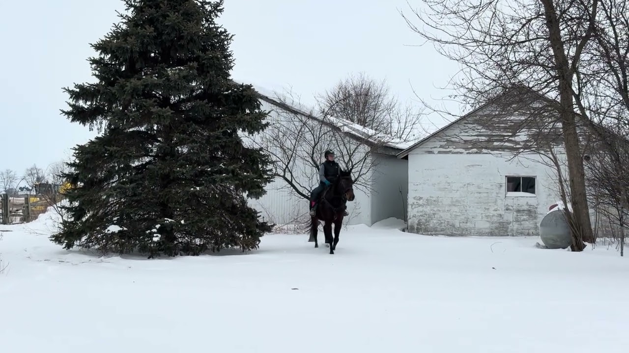 Heart Felt- Snowy ride 