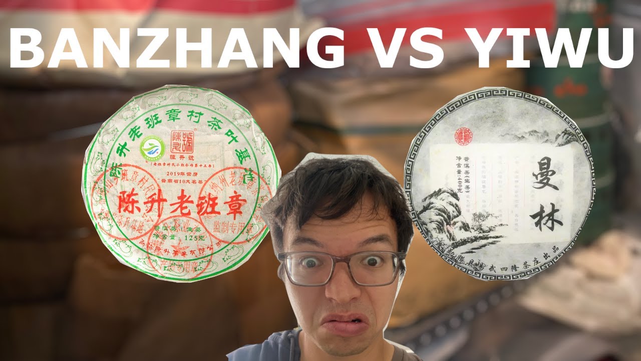 Lao Banzhang vs. Yiwu!!! [Inbetweenisode 366]