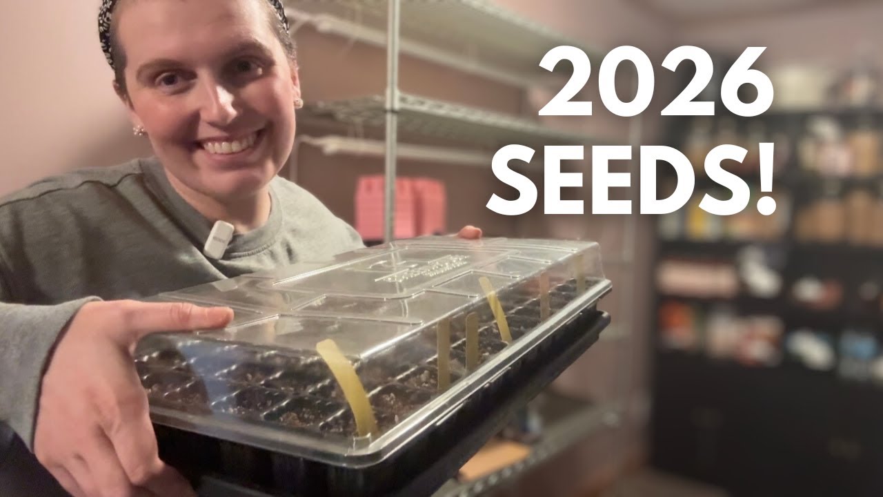 Starting Onion Seeds | 2026 Seed Haul 