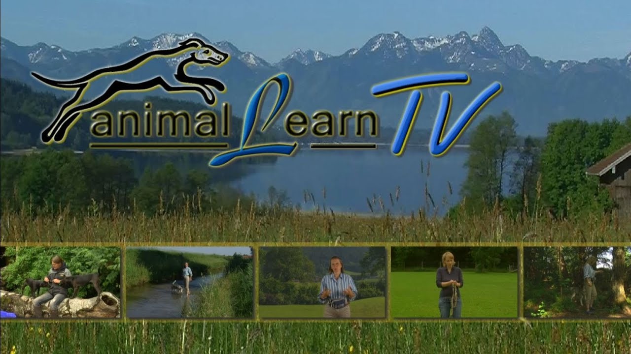 animal learn TV - 21.7.2013