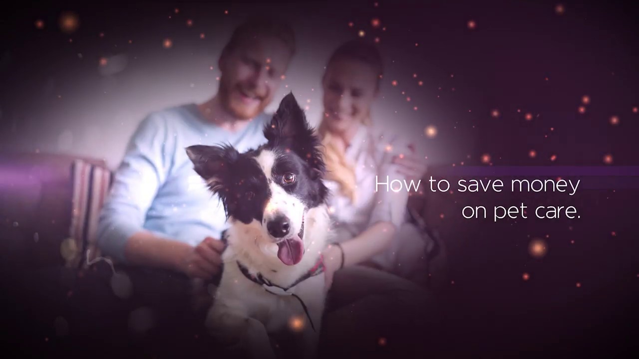 Consider This: Tips for saving money on pet costs