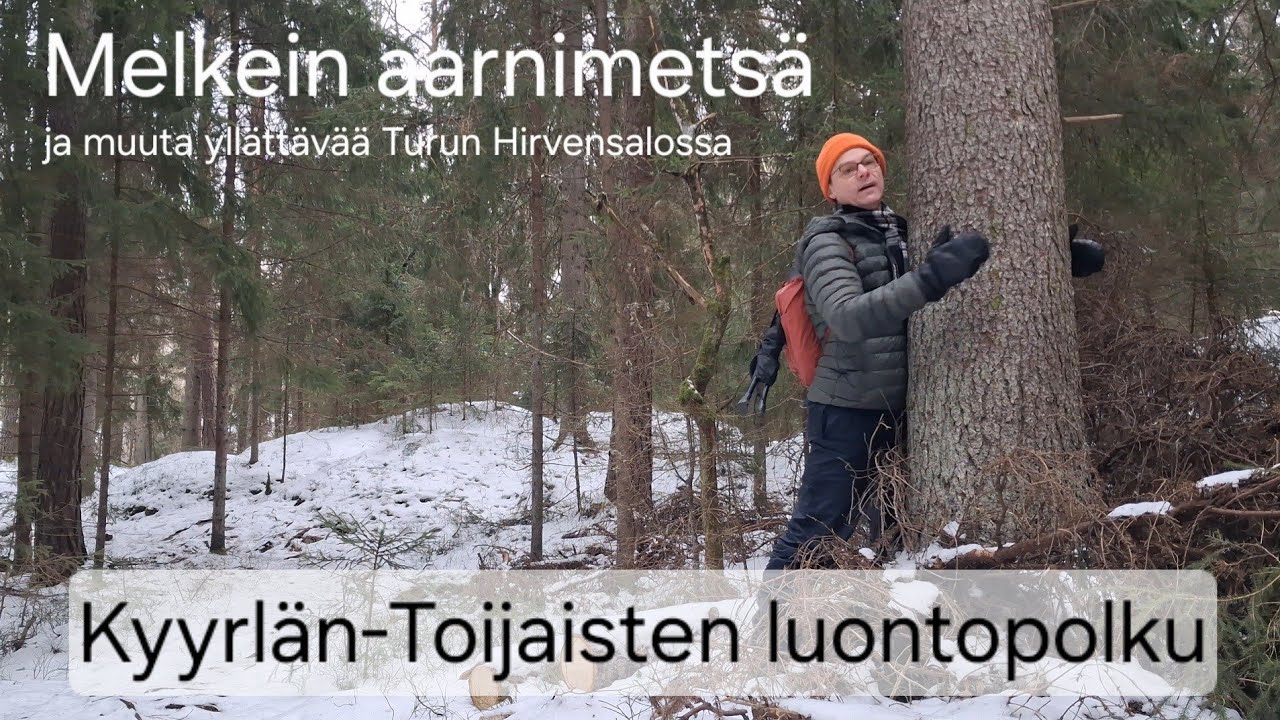 Melkein aarnimetsä | Kyyrlä-Toijainen
