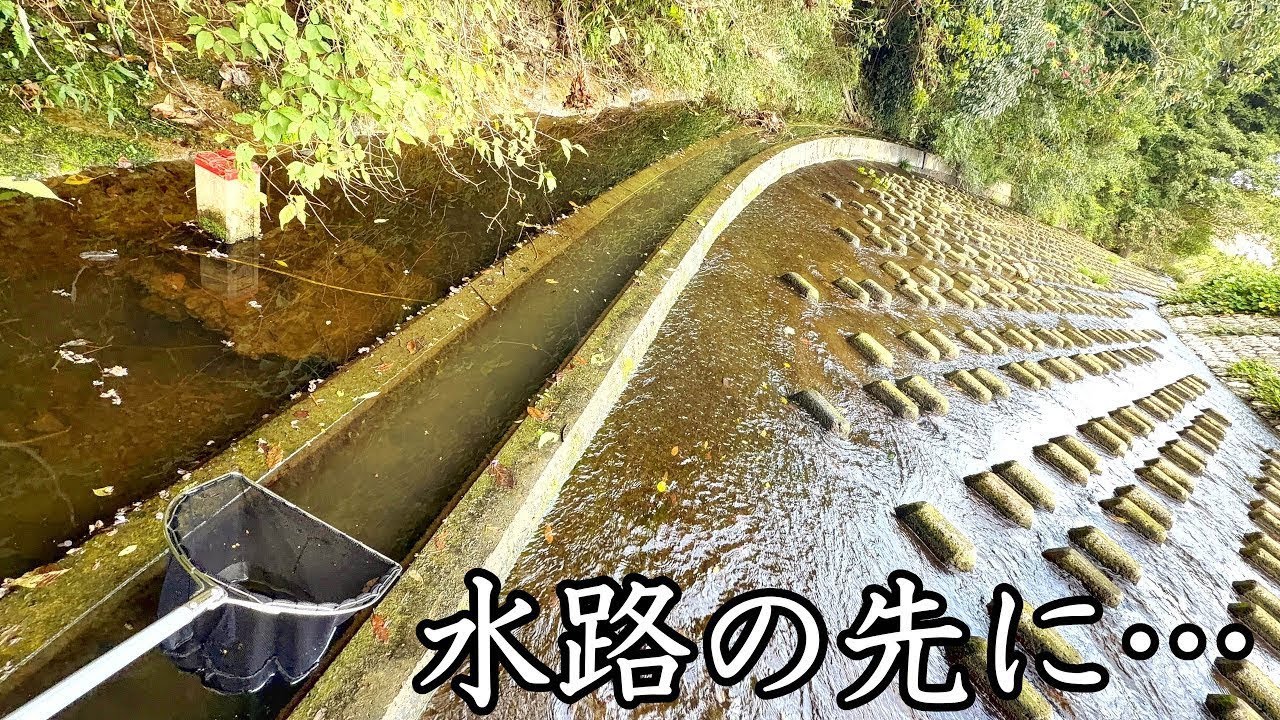人里離れた川に突如現れた用水路をガサガサしてみると&hellip;