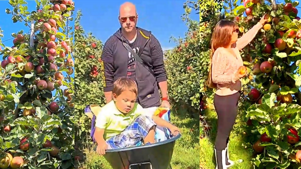 autumn Apple Picking🍎