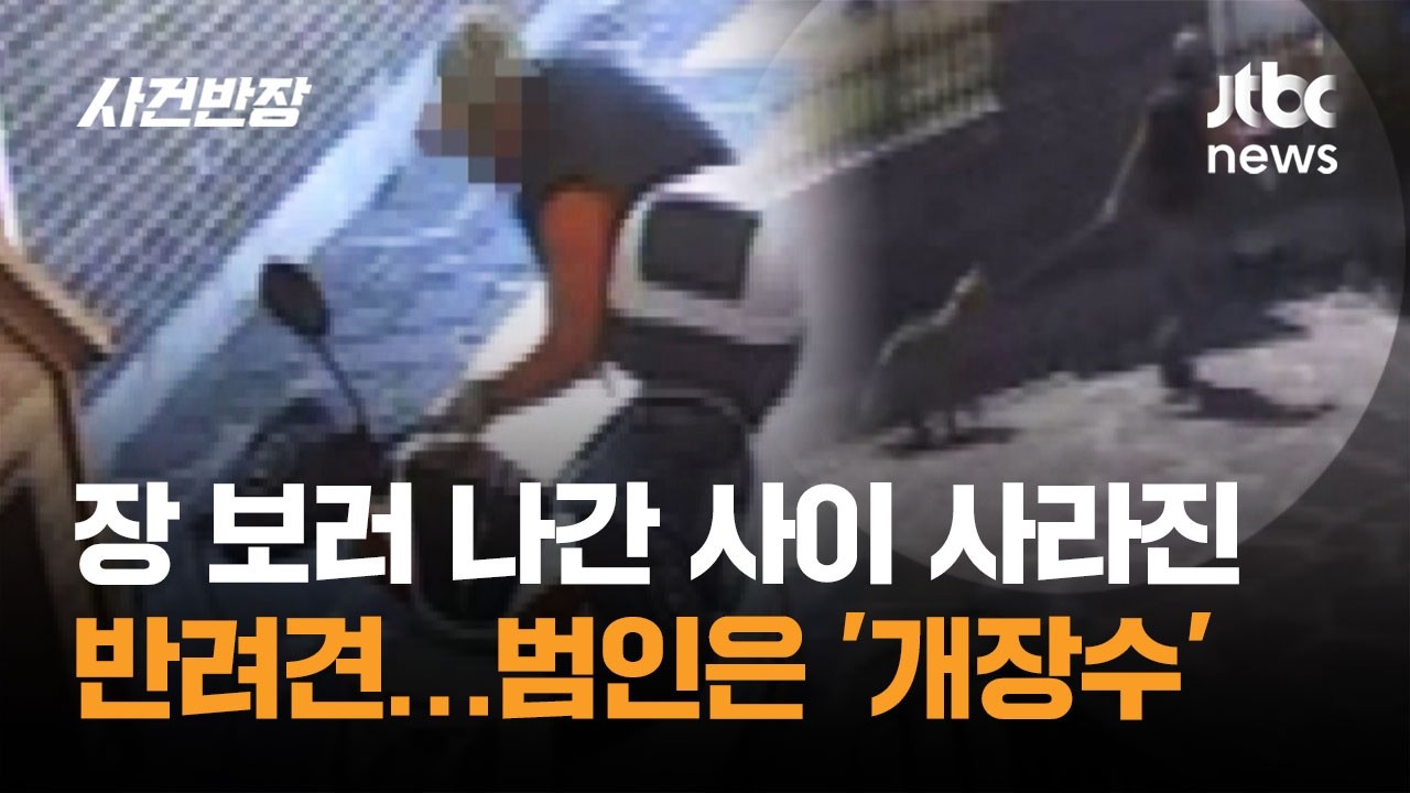 장 보러 나간 사이 사라진 반려견&hellip;범인은 '개장수' / JTBC 사건반장