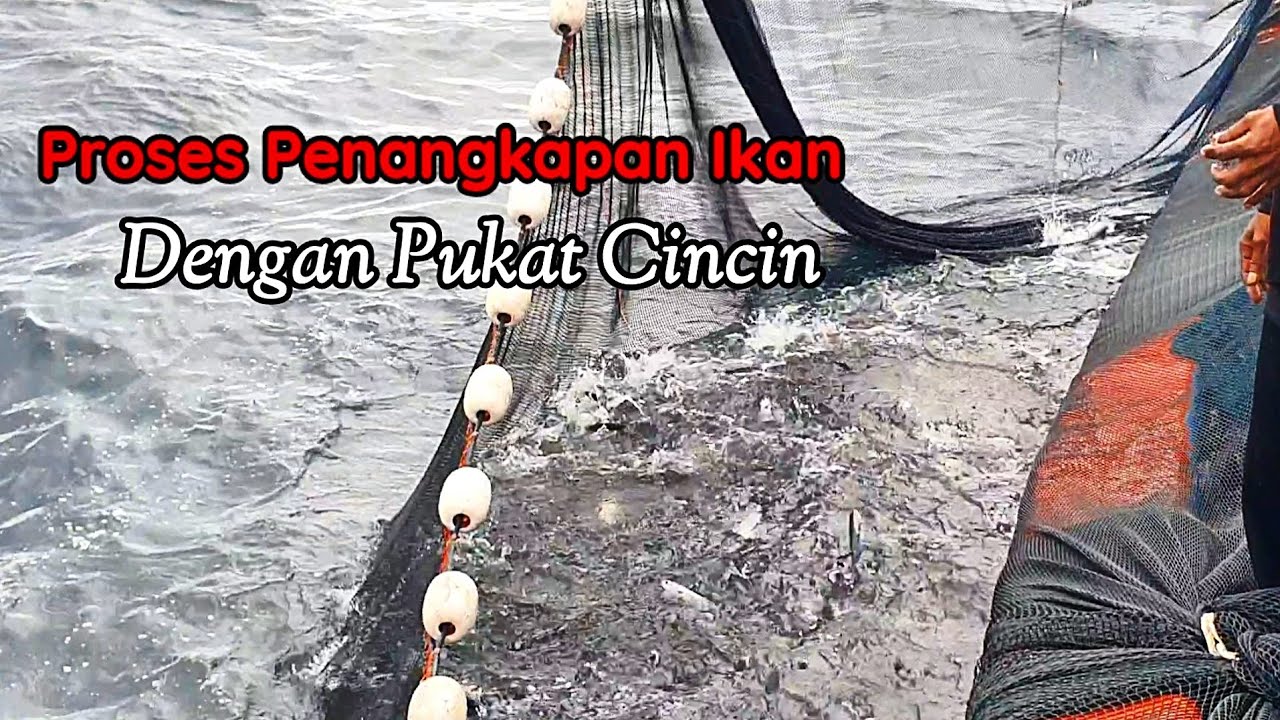 MENGEJUTKAN  Proses Nelayan Aceh Menangkap Ikan Dencis  di Laut ACEH  || KM.ABU DHABI