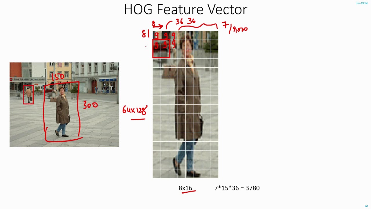 C34 | HOG Feature Vector Calculation | Computer Vision | Object Detection | EvODN