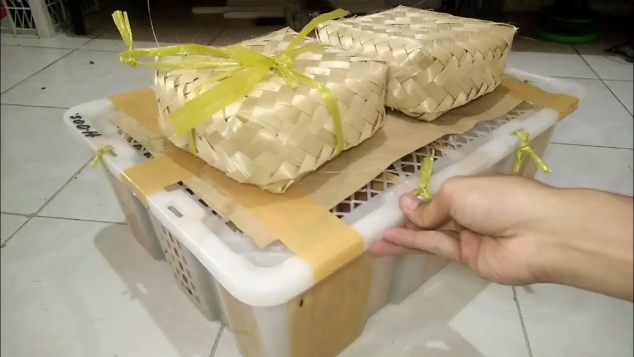 MULAI LAGI BONGKAR ANAKAN BURUNG LOLOHAN | UNBOXING BURUNG