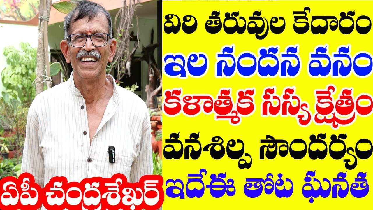 Best Organic Farmer AP Chandrasekhar| Ideal organic farm