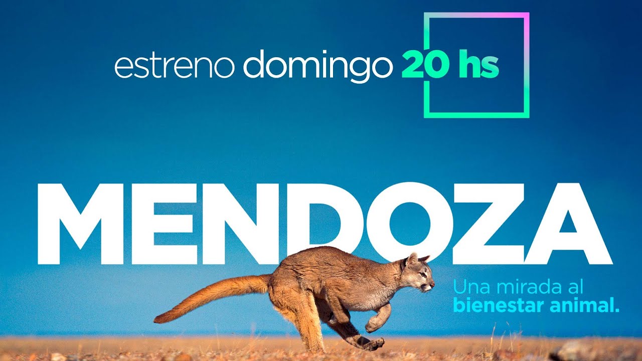 Mendoza, una mirada al bienestar animal