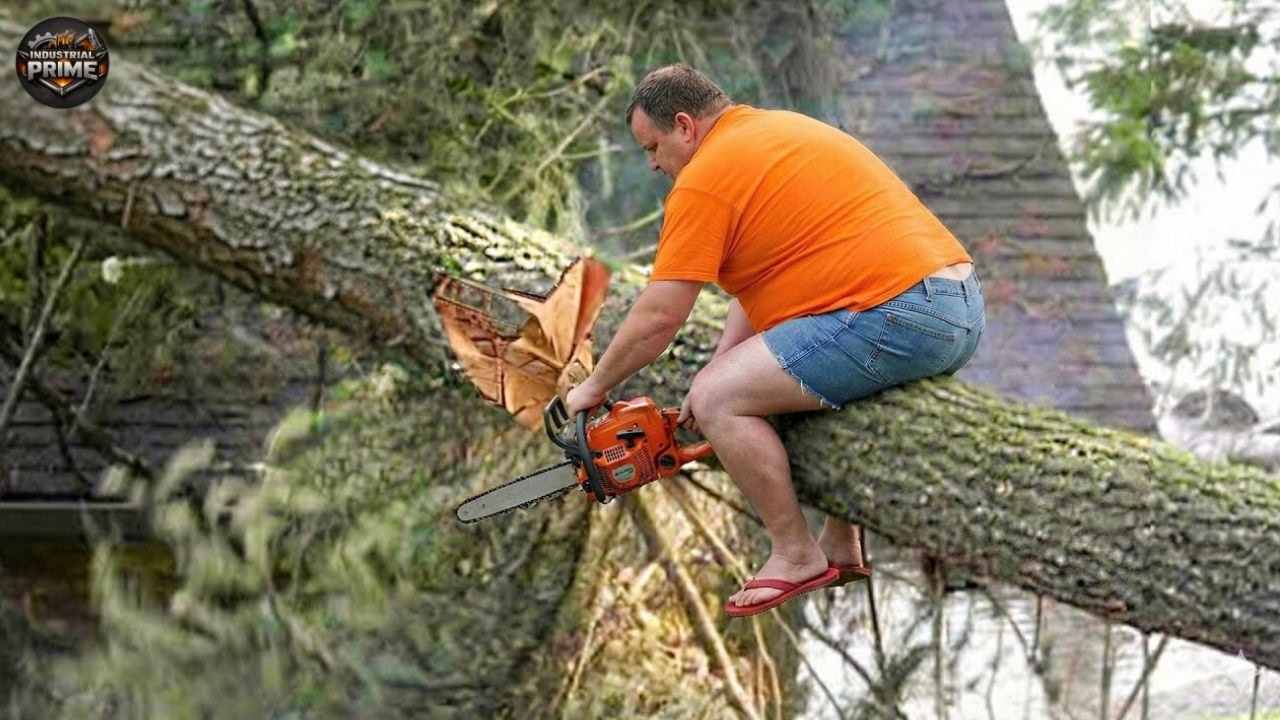 Chainsaw Mistakes: Tree Cutting Fails | Extreme Dangerous Logging Truck Fails #32
