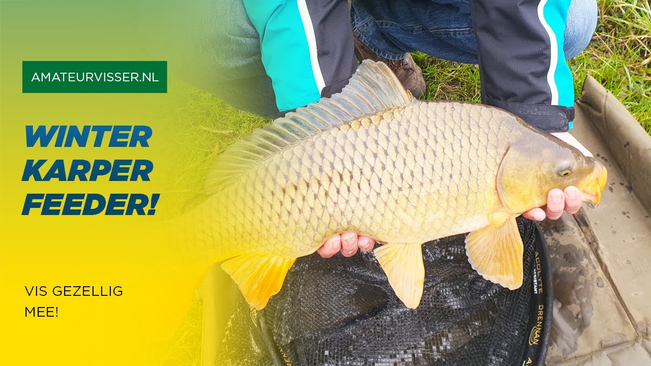 WINTER KARPER met FEEDER VISSEN