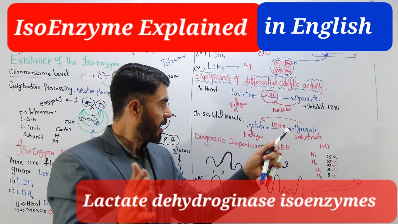 Isoenzyme  OR Isozyme explained / Lactate dehydrogenase Isoenzymes